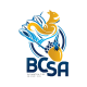 Logo BCSA56
